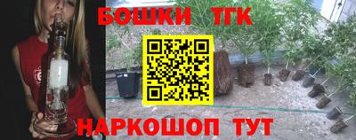 apvp Славгород