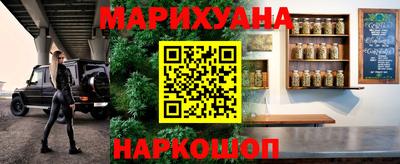 амф Сланцы