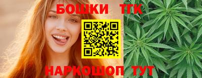 амф Сланцы