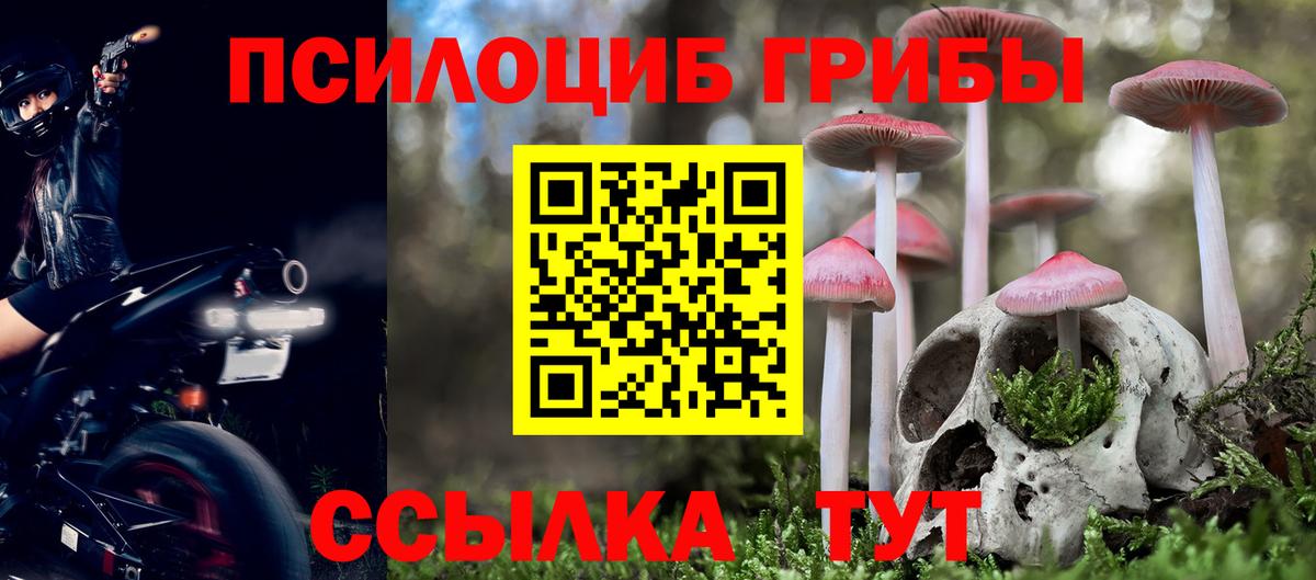 Псилоцибиновые грибы Psilocybine cubensis Орск