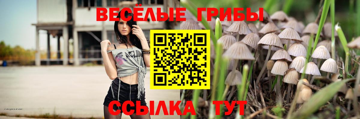Псилоцибиновые грибы Psilocybe  Вход с VPN  Орск  Галлюциногенные грибы прущие грибы 